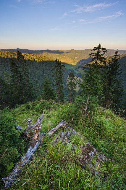 Blick über das Krunkelbachtal