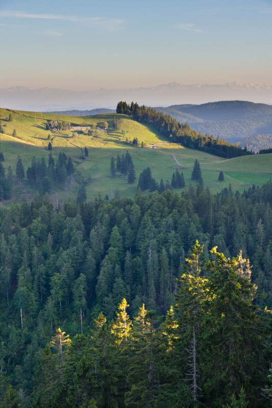 Blick über die Krunkelbachhütte zu den Alpen