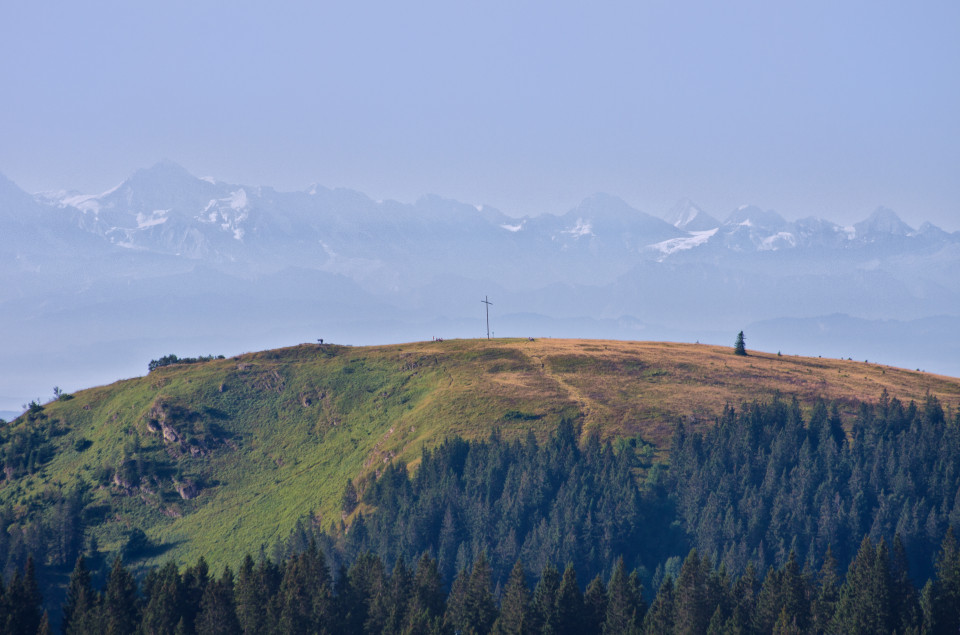 Blick über das Herzogenhorn zu den Alpen