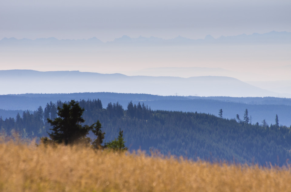 Alpenblick vom Seebuck