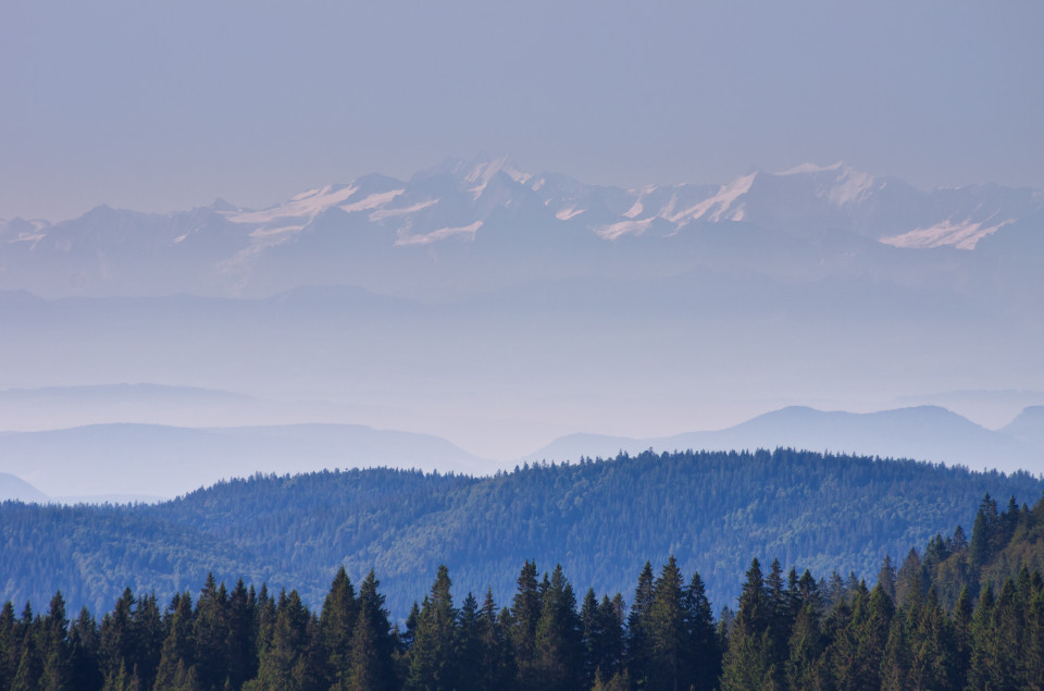 Alpenblick vom Seebuck