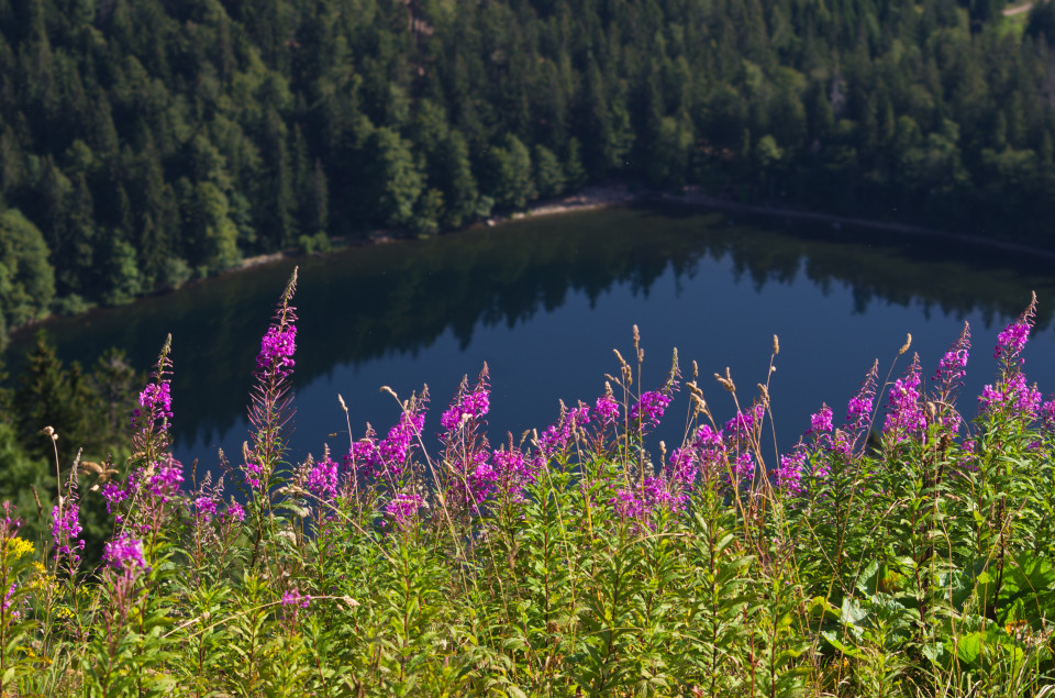 Blick vom Seebuck auf den Feldsee