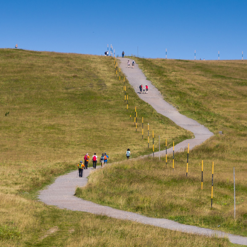 Straße auf den Feldberg