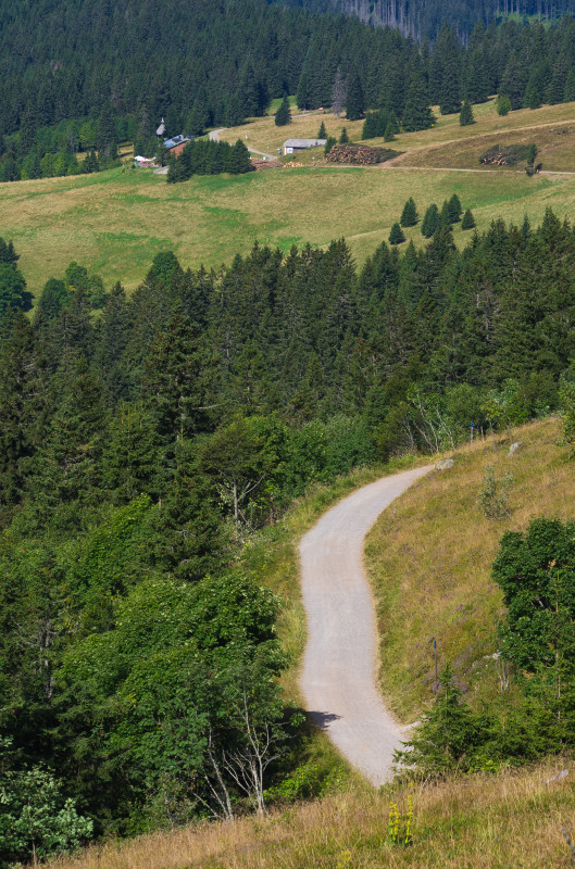 Am Grüblesattel, Blick zur Todtnauer Hütte