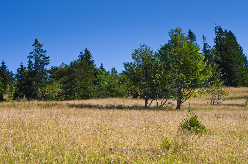 Unter dem Seebuck-Gipfel