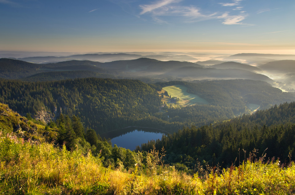 Feldseeblick, Seebuck