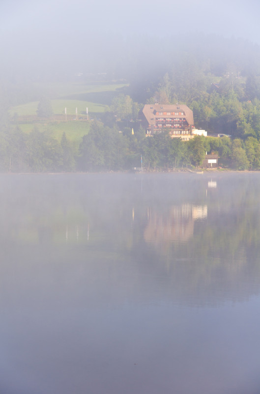 Morgenstimmung mit auflösendem Nebel am Titisee