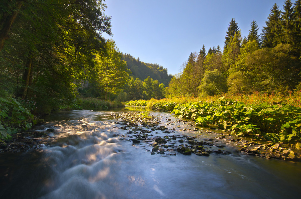 Wutachschlucht