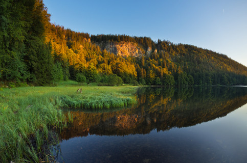 Feldsee