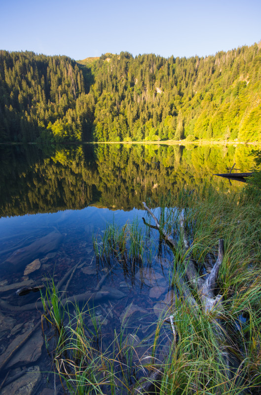 Feldsee