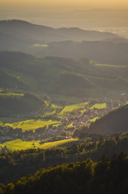 Blick vom Kandel (Thomashütte) über das Glottertal