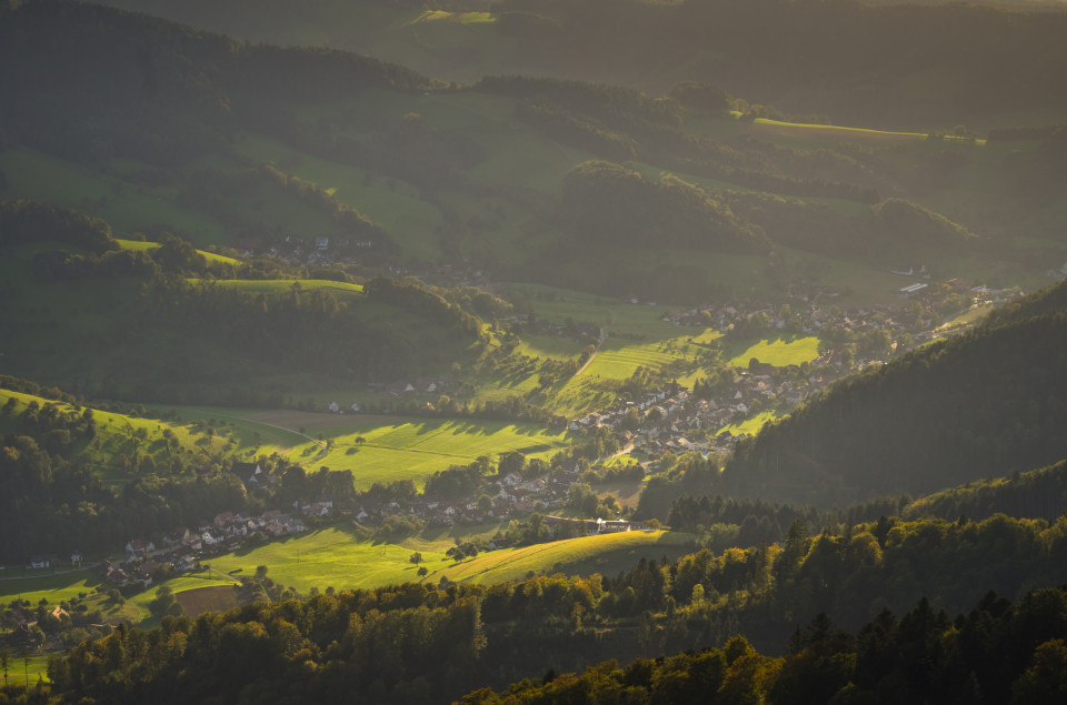 Blick vom Kandel (Thomashütte) ins Glottertal