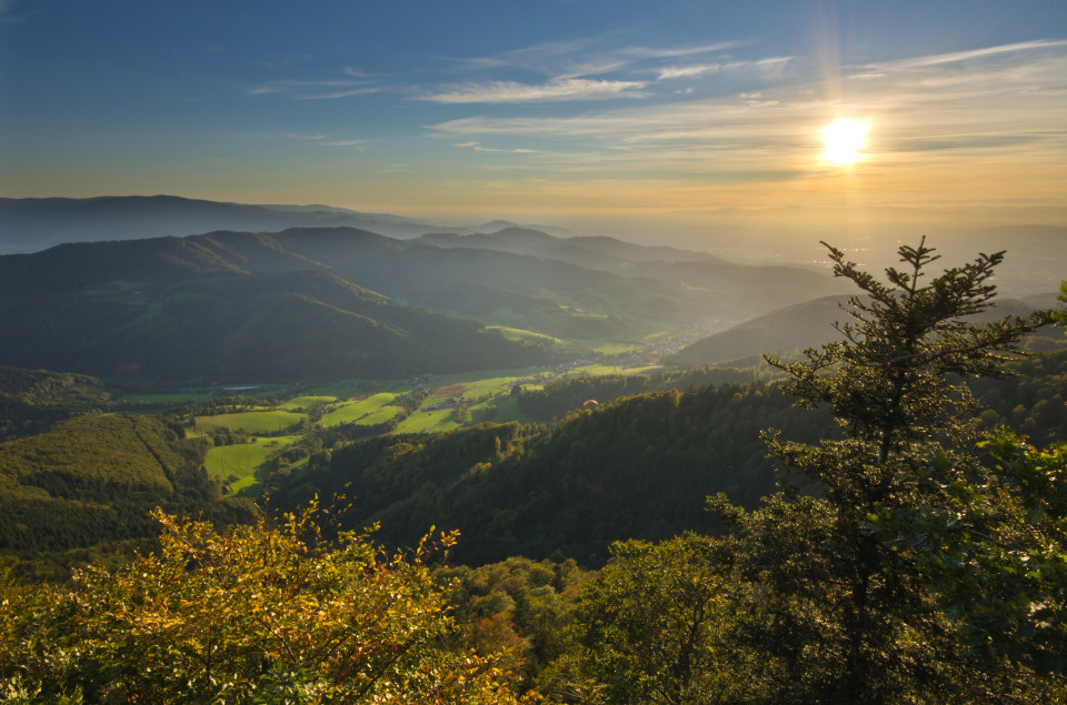 Blick vom Kandel (Thomashütte) über das Glottertal