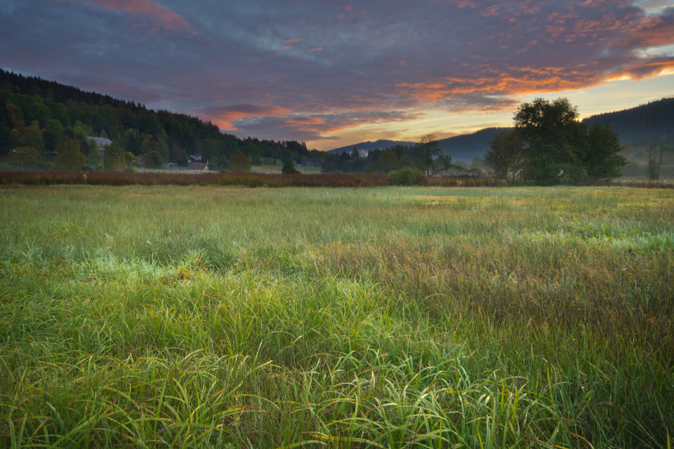 Morgenstimmung im Seebachtal