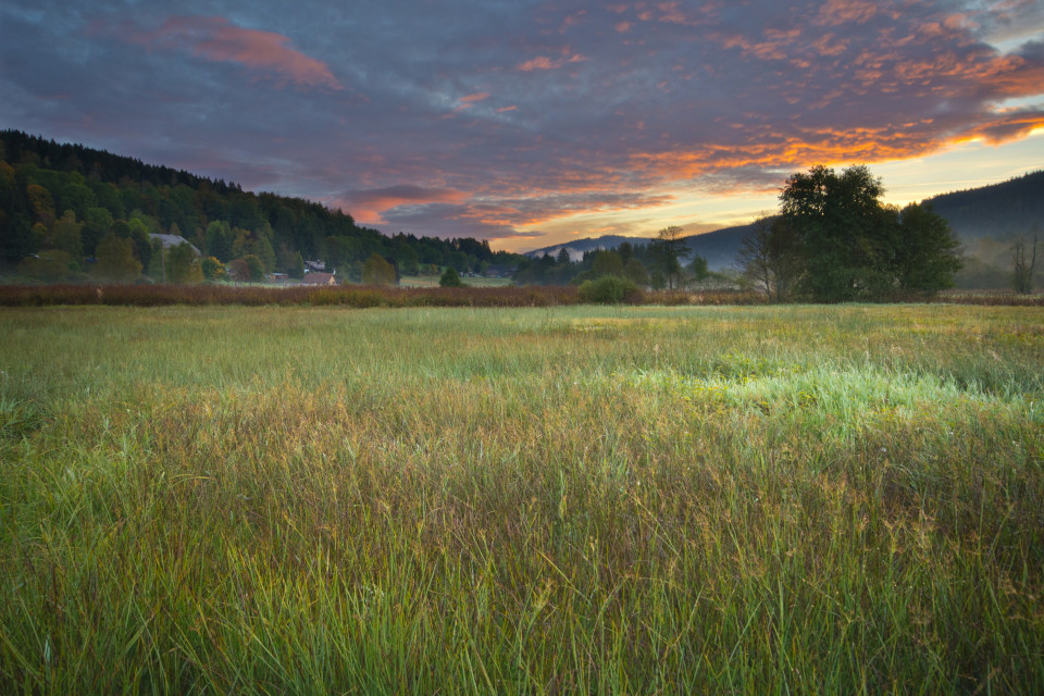 Morgenstimmung im Seebachtal