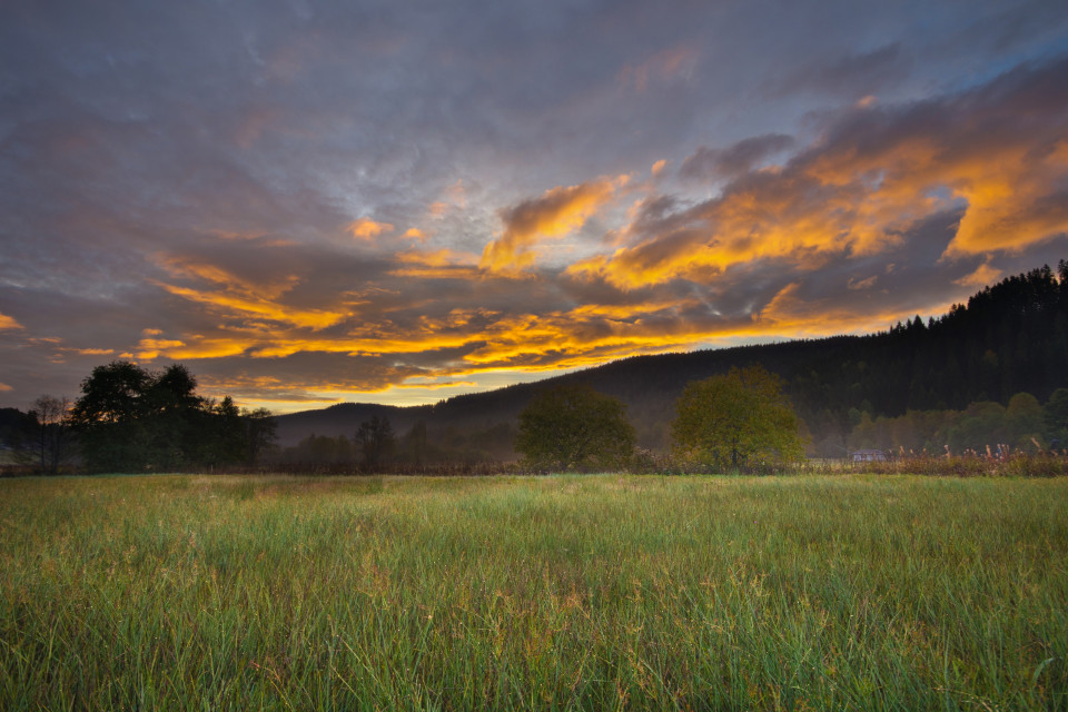 Morgenstimmung im Seebachtal