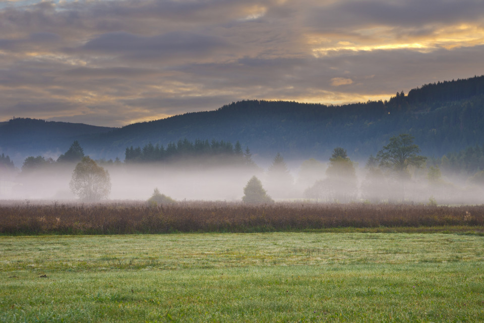 Morgenstimmung im Seebachtal