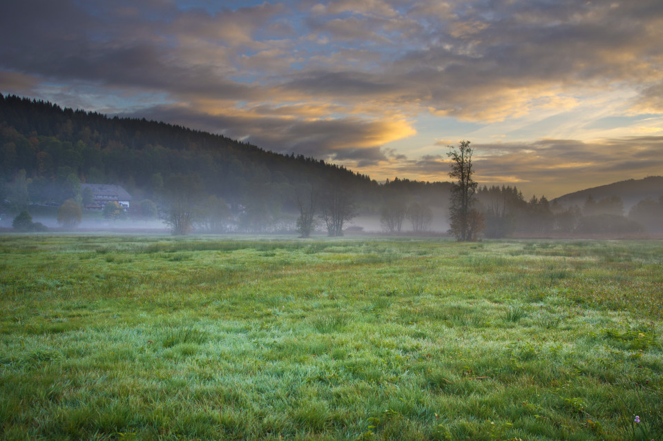 Morgenstimmung im Seebachtal