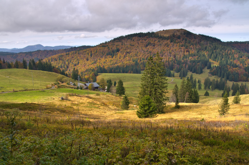 Oberhalb der Krunkelbachhütte, Blick auf das Herzogenhorn