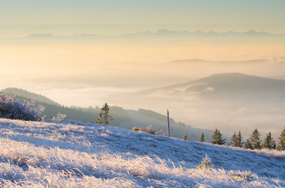 Alpenblick vom Herzogenhorn über dem Nebelmeer