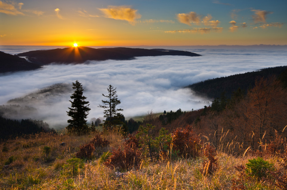 Sonnenaufgang über Nebelmeer auf dem Spießhorn