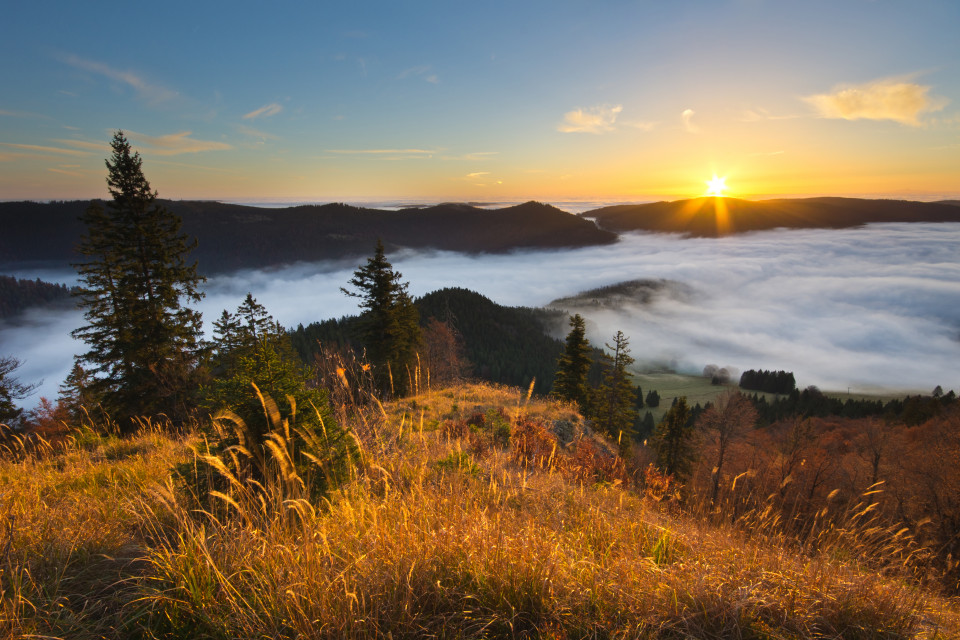 Sonnenaufgang über Nebelmeer auf dem Spießhorn