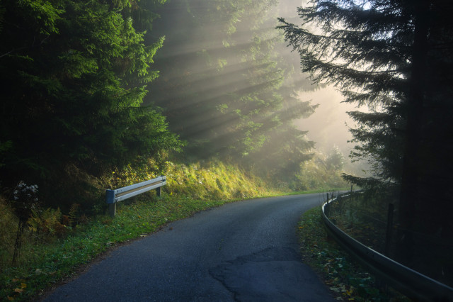 Sonnenstrahlen im Nebel, Bernau im Schwarzwald