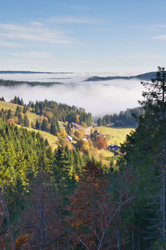 Blick über Schluchsee-Äule nahe der Passhöhe Äulemer Kreuz