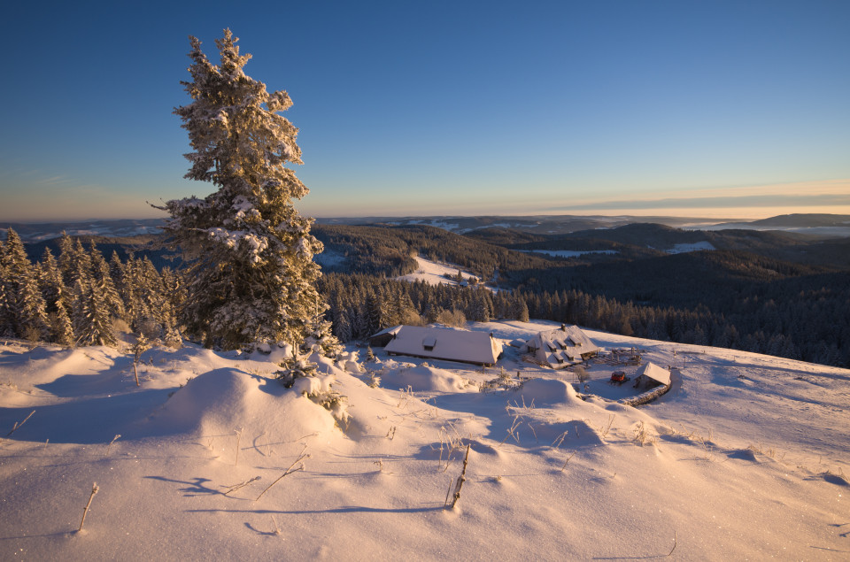 Winterlandschaft, Baldenweger Buck