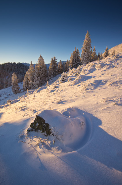 Winterlandschaft, Baldenweger Buck