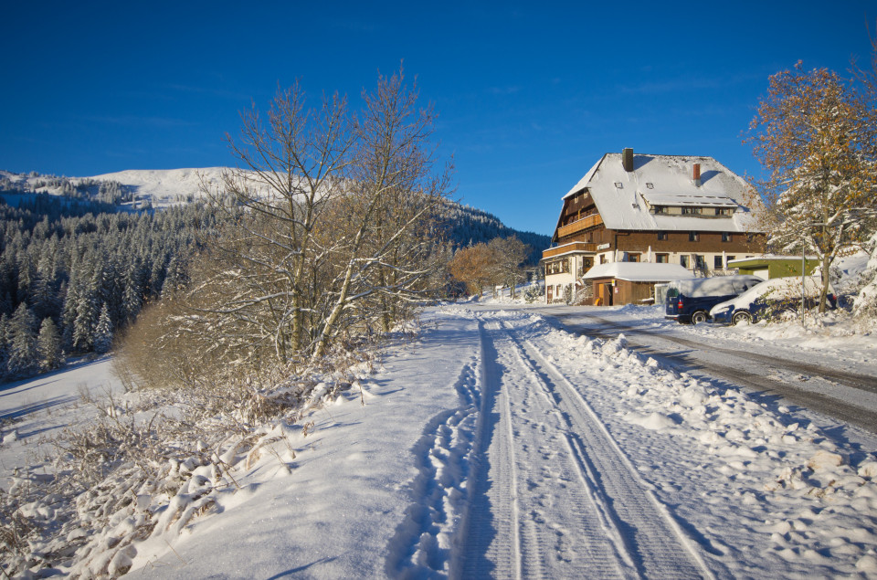 Rinken nach Wintereinbruch