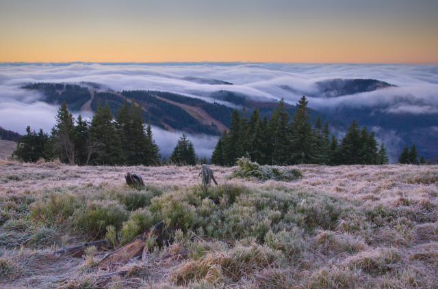 Feldberg, Spätherbstmorgen bei Inversionswetterlage