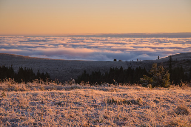 Feldberg, Spätherbstmorgen bei Inversionswetterlage