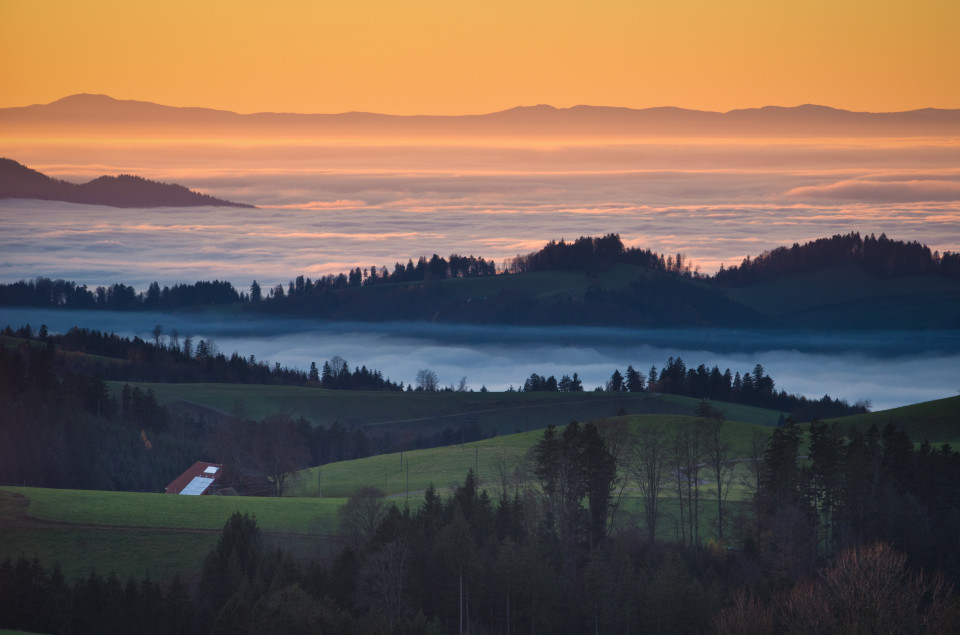 Bei St. Märgen, Blick über das Nebelmeer über Dreisamtal und Rheinebene