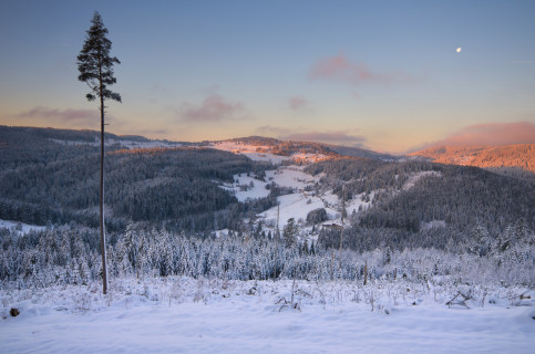 Blick auf Blasiwald