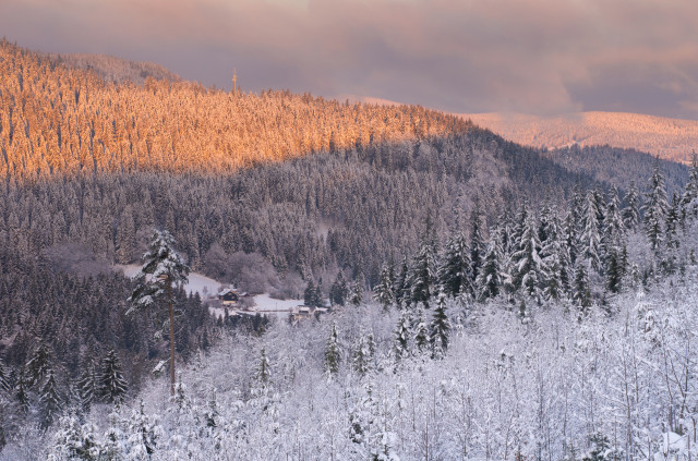 Schwarzatal bei Blasiwald