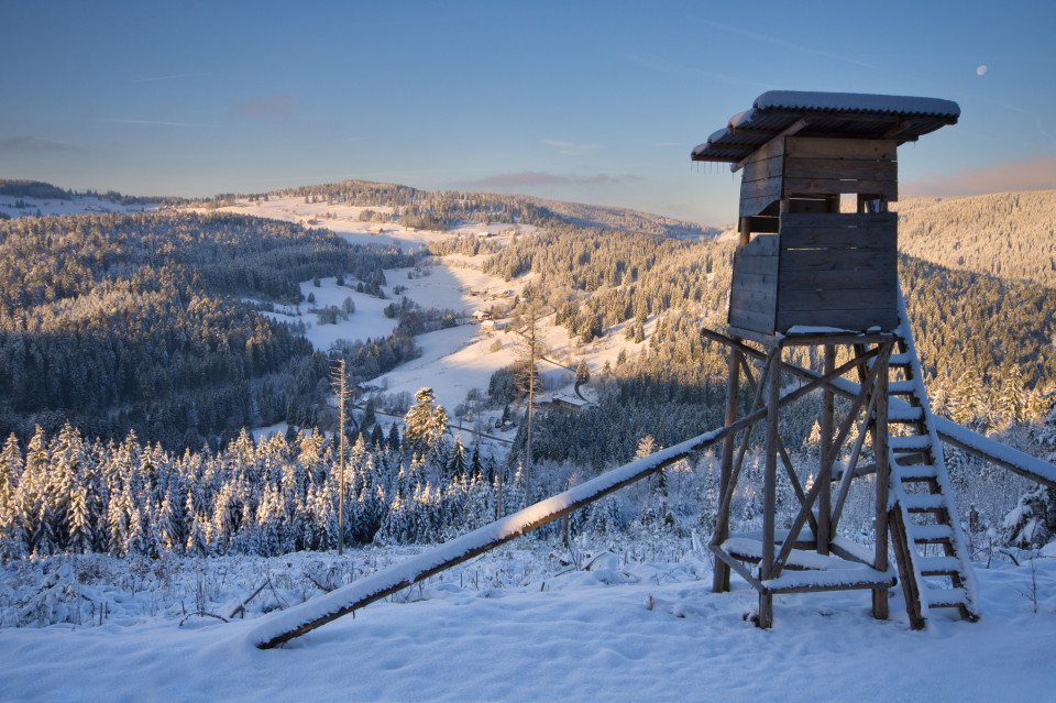 Blick auf Blasiwald