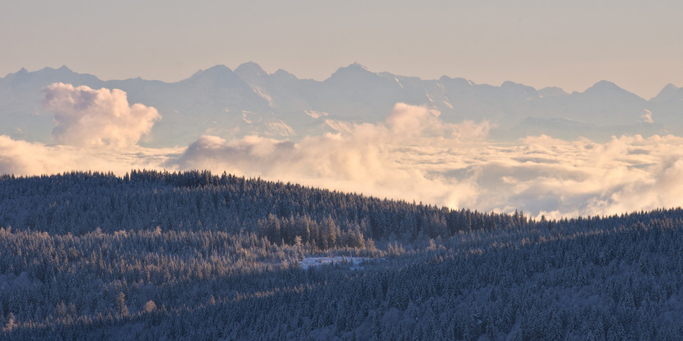 Alpenblick vom Schauinsland