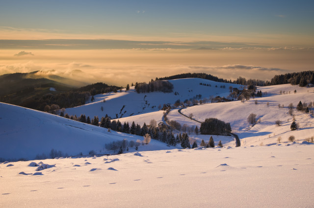 Aussicht bei den Windbuchen am Schauinsland