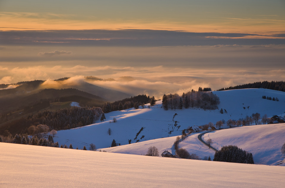 Aussicht bei den Windbuchen am Schauinsland