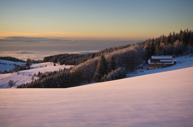 Aussicht bei den Windbuchen am Schauinsland