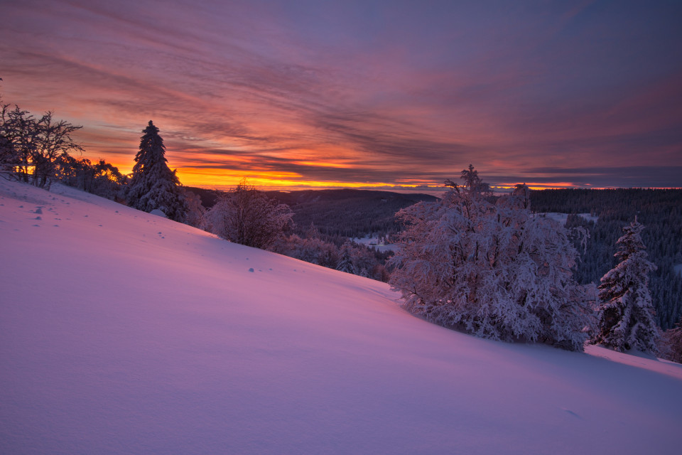 Morgenrot am Feldberg