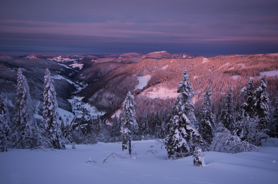 Vom Morgenrot angeleuchtete Winterlandschaft am Feldberg