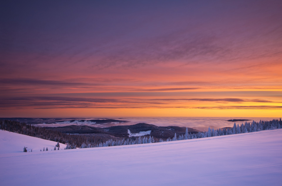 Winterliche Morgenstimmung am Feldberg