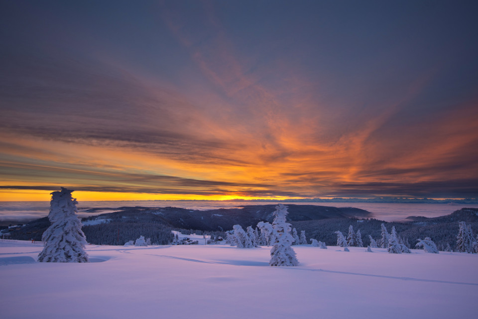 Winterliche Morgenstimmung am Feldberg