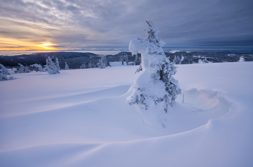 Winterlandschaft auf dem Seebuck