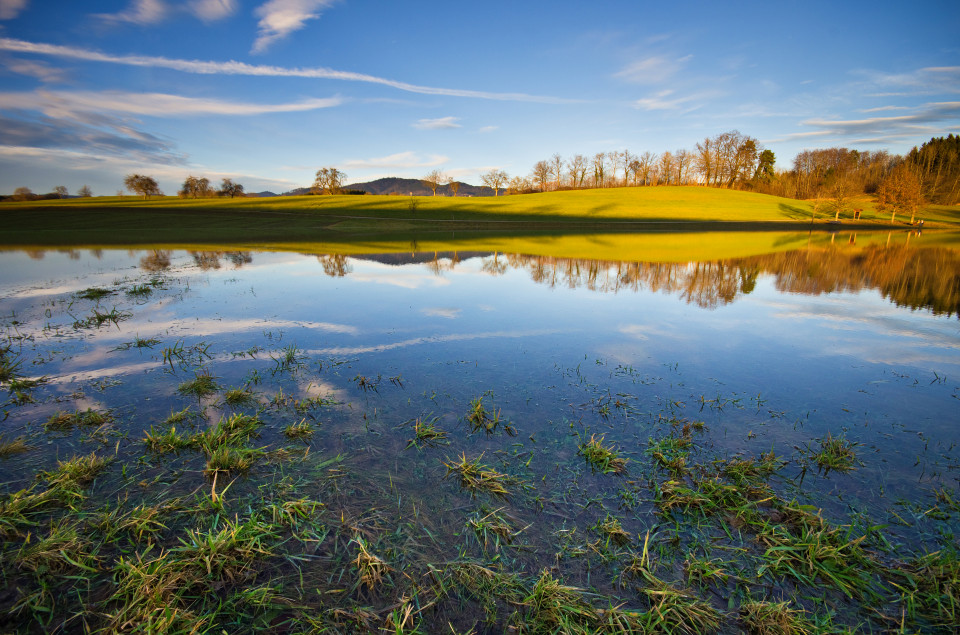 Eichener See