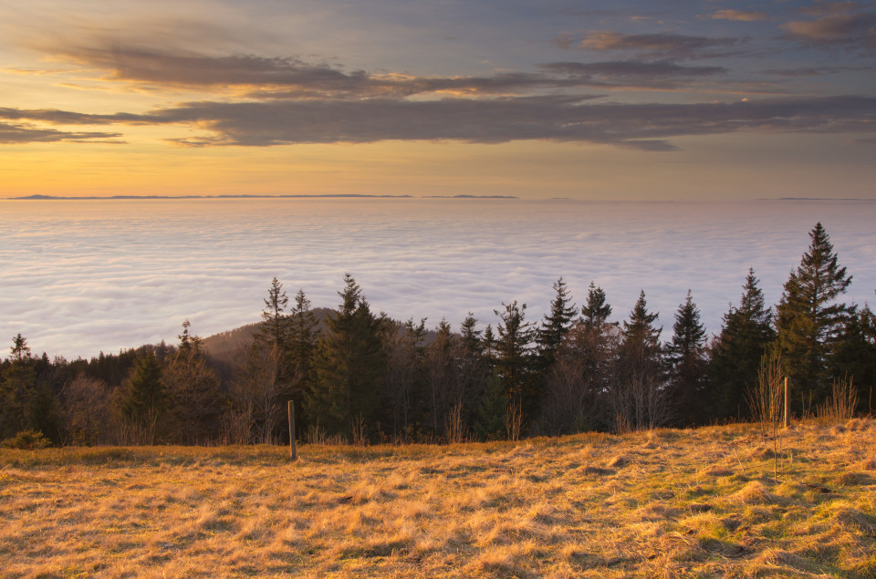 Blick vom Kandel bei Inversionswetterlage