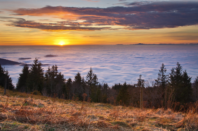 Abendstimmung auf dem Kandel bei Inversionswetterlage