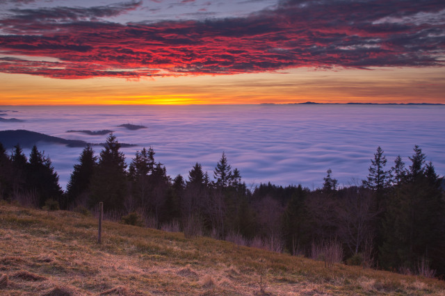 Abendstimmung auf dem Kandel bei Inversionswetterlage